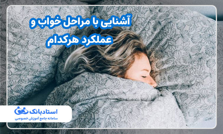 آشنایی با مراحل خواب و عملکرد هرکدام